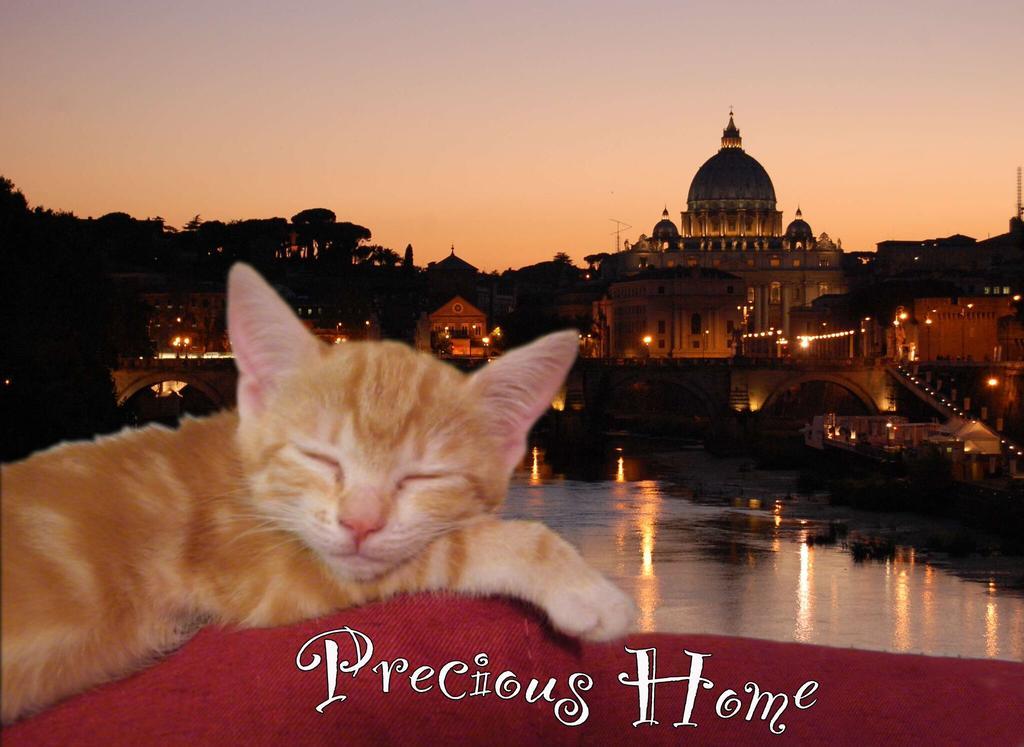 Precious Roma